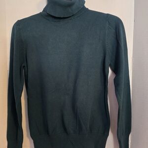 Cielo Women's Forest Green Turtleneck Sweater